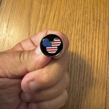 Load image into Gallery viewer, Collectible America 250 Disney Mouse Ears USA Flag Lapel pin
