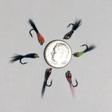 Load image into Gallery viewer, Perdigon Nymph Wet Flies Set Of 6 Ships Free In The USA Trout Bass Euro Nymph Wet Fly Fishing