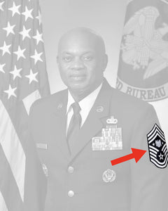 Senior Enlisted Advisor to National Guard Bureau (Eagle Looking Left) USAF Rank insignia Patch KK-003 PAT-757