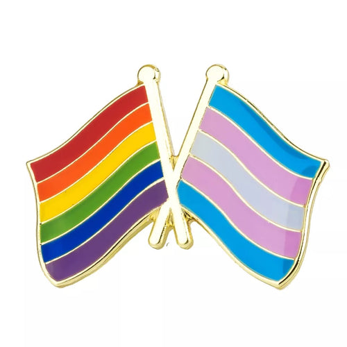 LGBTQ Rainbow Flag and Transgender Flag Unity Lapel Pin FREE USA SHIPPING SHIPS FREE FROM USA P-183
