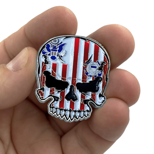 US Coast Guard Flag Coastie Skull Pin with dual pin posts so it won't spin USCG EL3-016 - www.ChallengeCoinCreations.com
