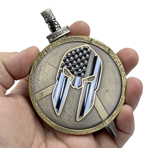 Thin Gray Line Correctional Officer CO Department of Corrections Warrior Gladiator Shield with removable Sword Challenge Coin Set jail prison EL6-018 - www.ChallengeCoinCreations.com