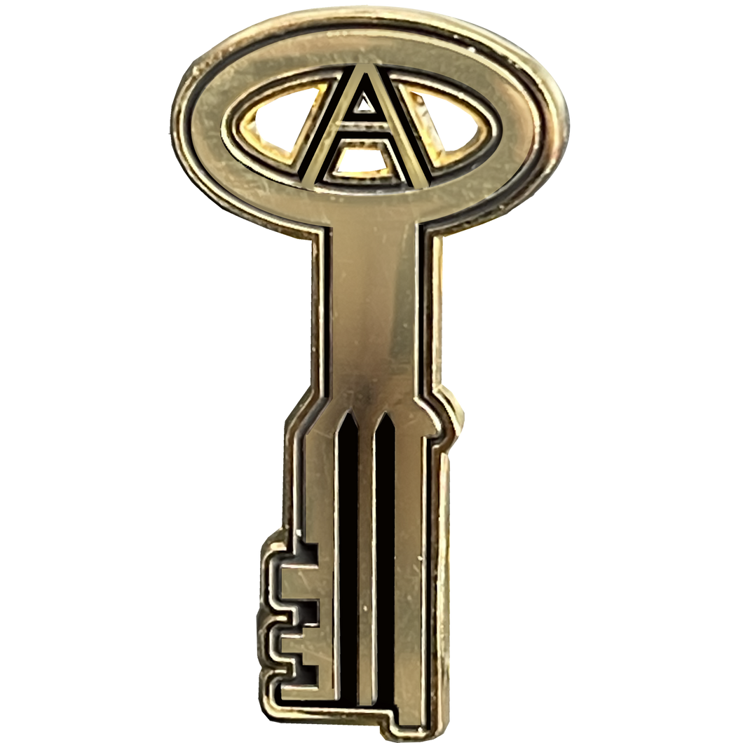 24KT Gold plated Correctional Officer Jail Prison Key pin CO Corrections Thin Gray Line BL15-014 - www.ChallengeCoinCreations.com