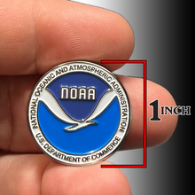 Load image into Gallery viewer, NOAA National Oceanic Atmospheric Administration Department of Commerce lapel pin GL4-019 P-124