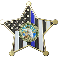 Load image into Gallery viewer, K-015 Palm Beach County Florida Deputy Sheriff Thin Blue Line Beard Gang Skull Challenge Coin K-015 - www.ChallengeCoinCreations.com
