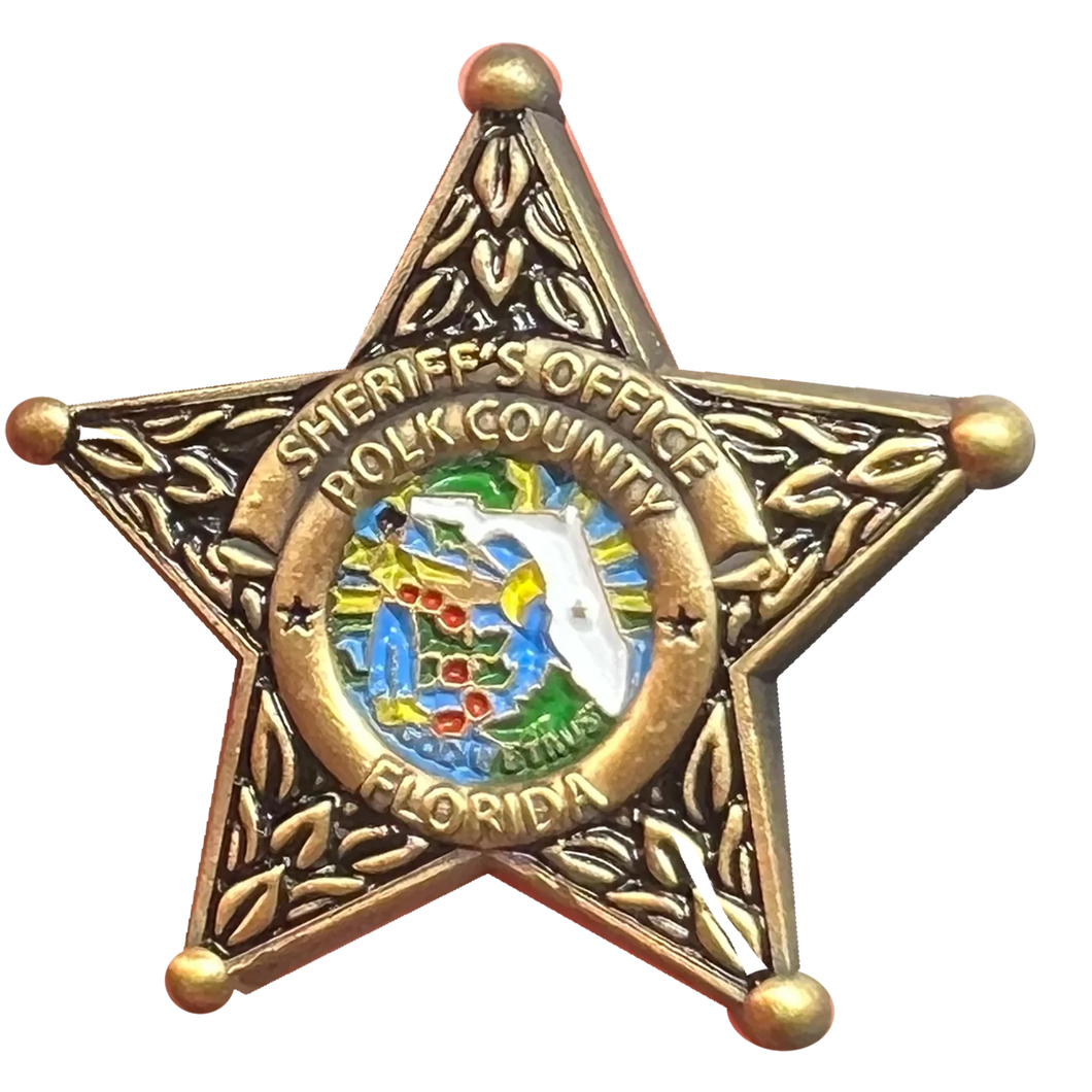 Polk County Florida Deputy Sheriff Lapel Pin Grady Judd BFP-013 P-187B