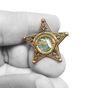 Polk County Florida Deputy Sheriff Lapel Pin Grady Judd BFP-013 P-187B