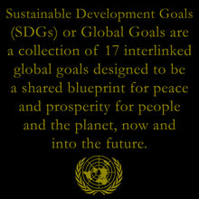 Load image into Gallery viewer, UN 17 Sustainable Development Goals United Nation not NATO Global Goals Lapel Pin Blueprint for Peace GL3-004 P-001C