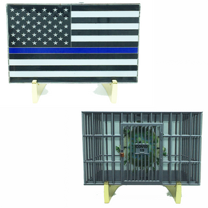 Covid 19 Pandemic in Jail Thin Blue Line Challenge Coin Police LEO CBP MR-016 - www.ChallengeCoinCreations.com