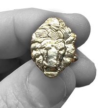 Load image into Gallery viewer, Law Enforcement Officers Memorial National Police Memorial Lion Cufflinks PBA FOP FLEOA PBX-004-A