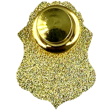 Load image into Gallery viewer, Nuclear Commission Regulatory Commission Special Agent metal pin CL13-10 - www.ChallengeCoinCreations.com
