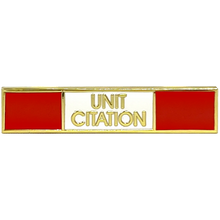 Load image into Gallery viewer, Commissioner&#39;s Unit Citation Commendation Bar Pin Reverse color scheme Police CBP Field Operations Field Ops OFO CBPO PBX-002-E P-167A
